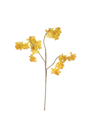 Kalalou - Botanca #3566