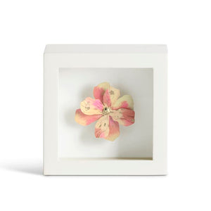 Demdaco - Flower Shadow Boxes (Assorted)