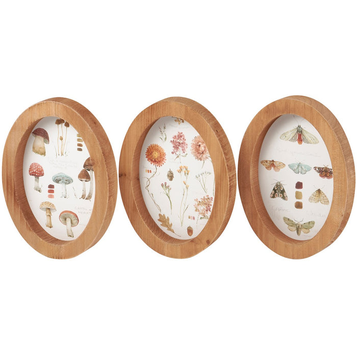 Primitives by Kathy - Fall Study Hanging Decor Set