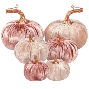 Primitives by Kathy - Blush Velvet Pumpkin Set