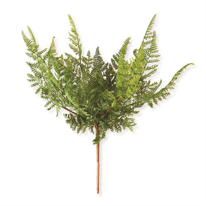 K&K Interiors -16 Inch Curly Aspidiaceae Fern Spray Stem