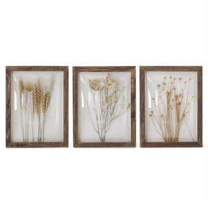 K&K Interiors - 10" Dome Front Dried Floral Wall Art (Assorted)