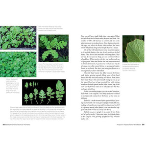 Gibbs Smith - Edible Wild Plants, Volume 2