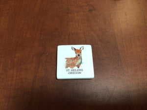 Demdaco - Saint Helens, Oregon Magnets (Assorted)