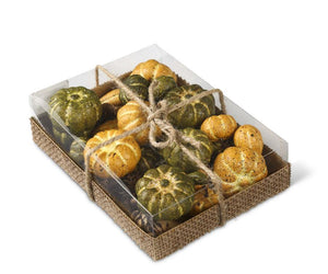 K&K Interiors - Green and Yellow Pumpkins w/Mini Pinecones - (assorted - box of 24)