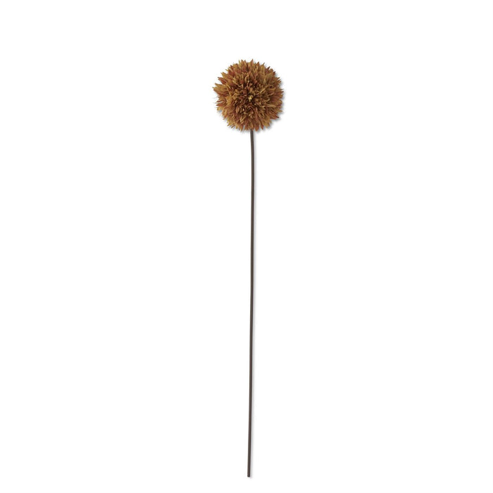 K&K Interiors - 31 in Brown Allium Stem