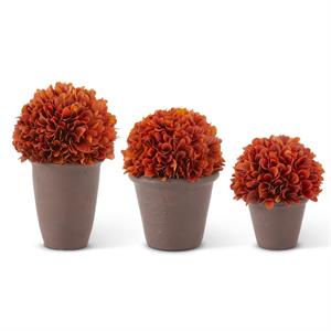K&K Interiors - Orange Preserved Boxwood Potted Balls