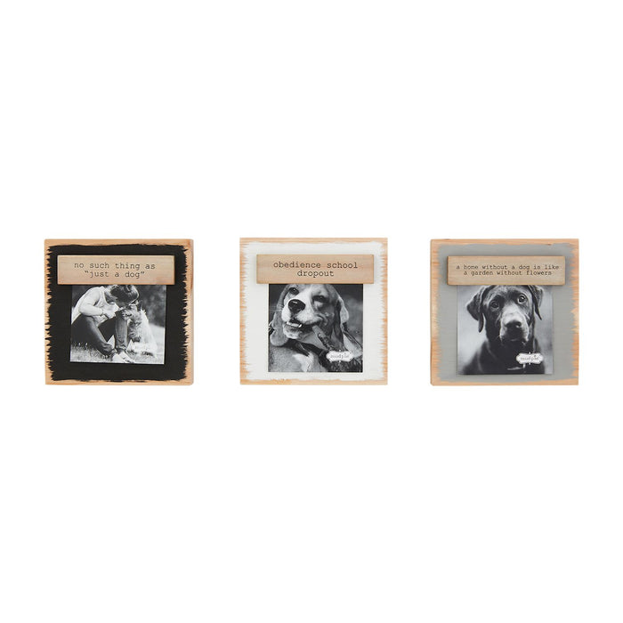 Mud Pie - Pet Magnet Block Frames (assorted)