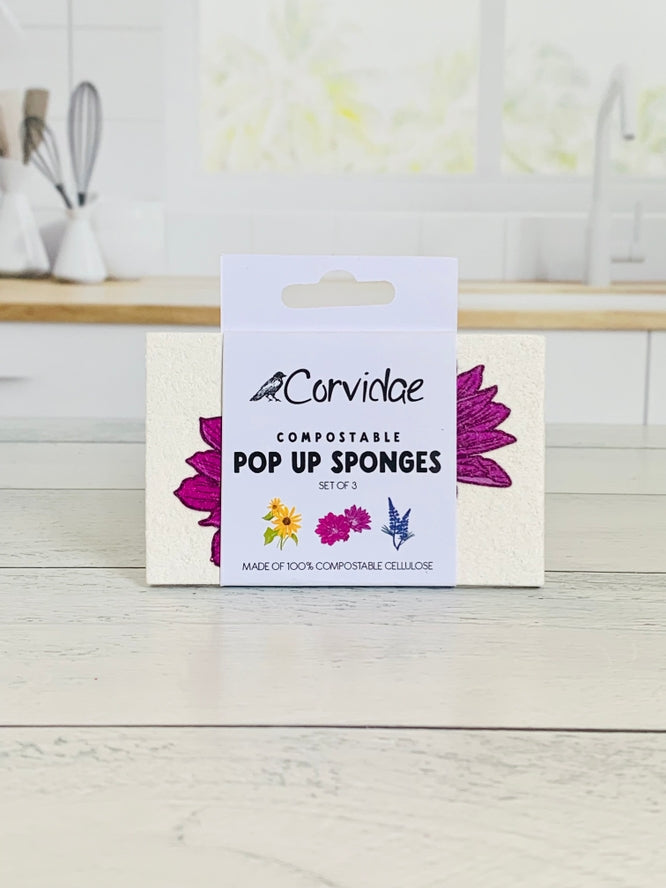 Corvidae - Wildflowers Compostable Pop Up Sponges - Set of 3