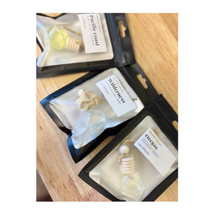 Woodsy Wicks - Fall Car Diffusers (Various Scents)