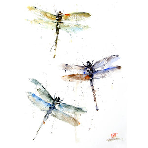 5 X 7" Greeting Card  'Dragonflies'
