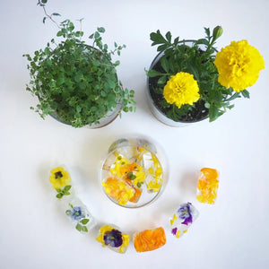 Potting Shed Creations - Pocket Garden - Edible Flowers