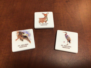 Demdaco - Saint Helens, Oregon Magnets (Assorted)