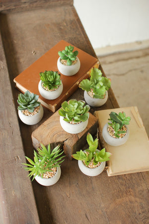 Kalalou - Small Succulents with Rounf Cement Pot (8 Assorted Styles)