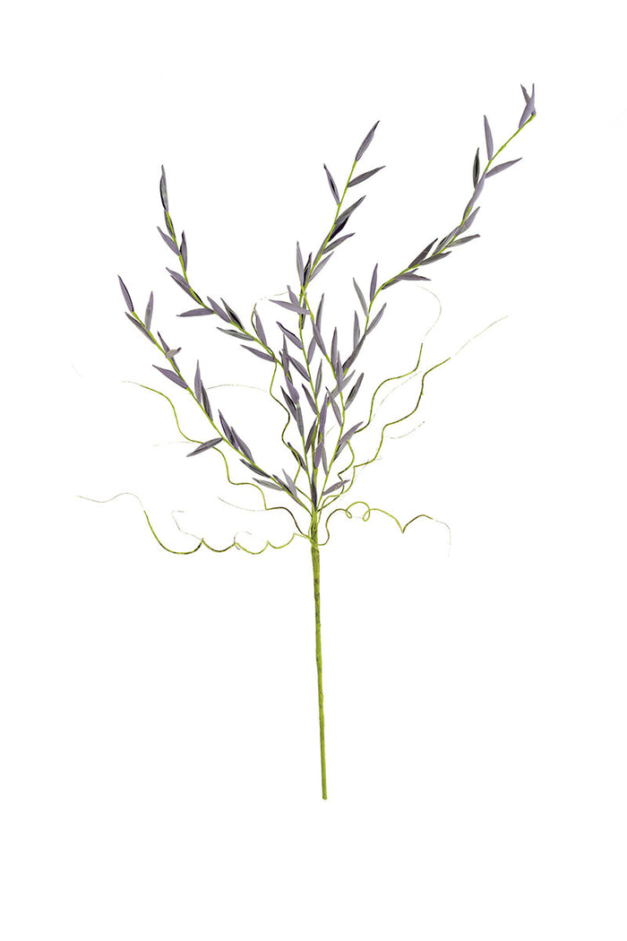 Kalalou - Botanica - Lavender