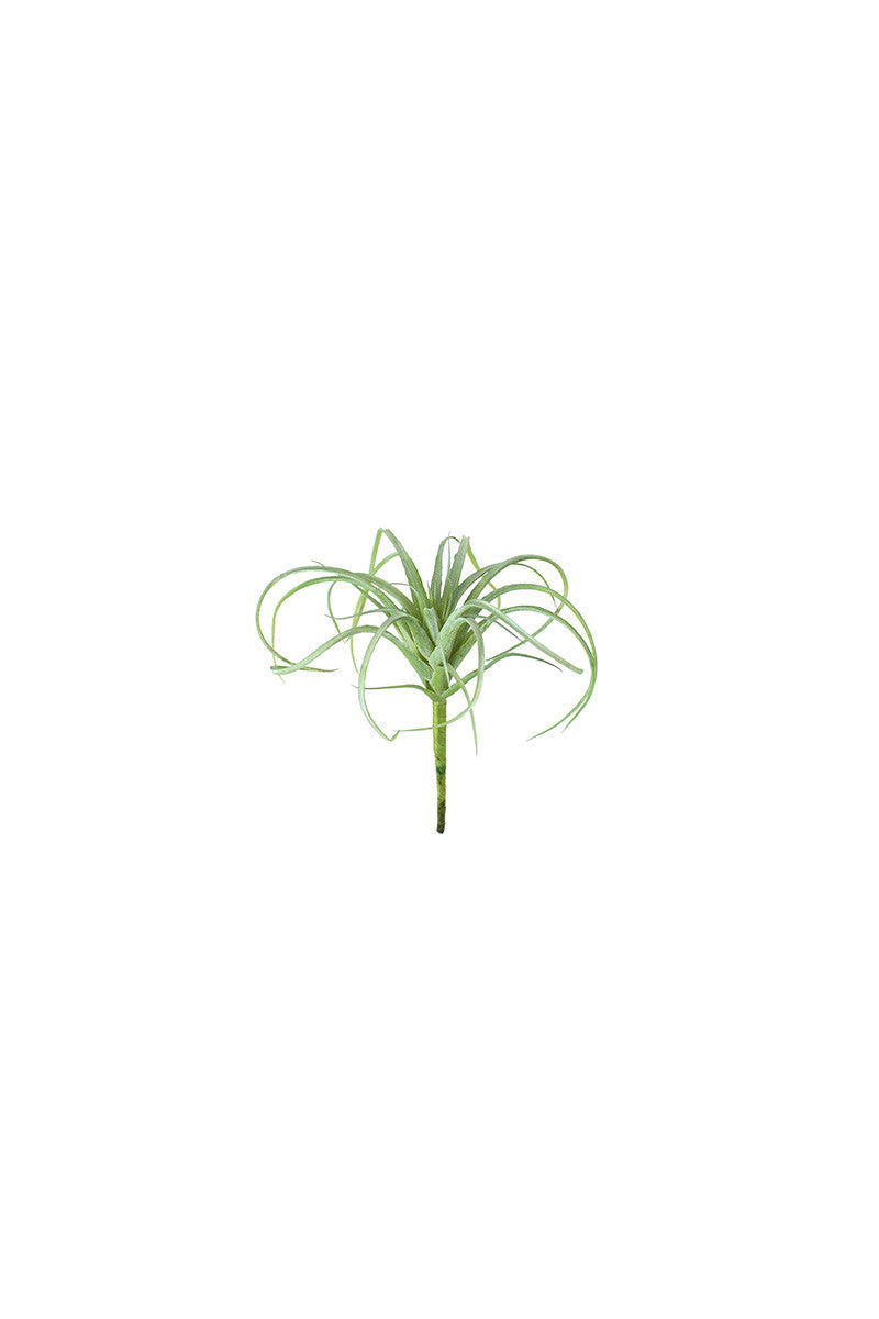 fake air plants Kalalou