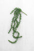 Kalalou - Artificial Necklace Fern Succulent