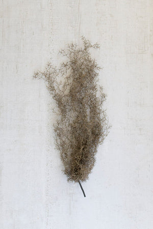 Kalalou - Artificial Grey Moss