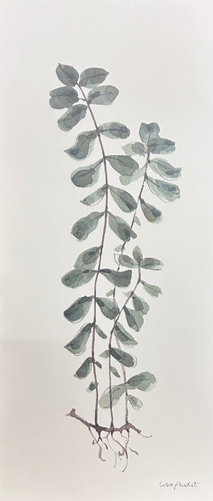 Demdaco - Button Fern Wall Art