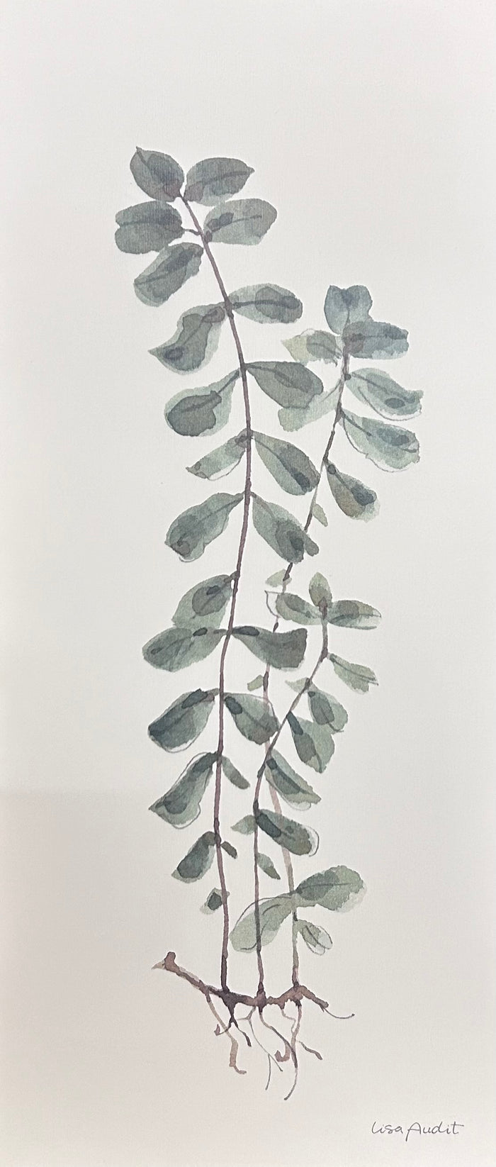 Demdaco - Button Fern Wall Art