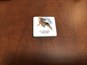 Demdaco - Saint Helens, Oregon Magnets (Assorted)