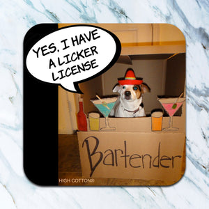 High Cotton Gifts - Assorted Absorbent Funny Sassy Coasters (Contains Profanity)