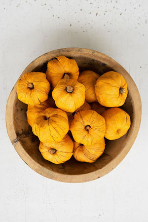 Kalalou - Bag of 15 Dried Mini Faux Pumpkins - Orange