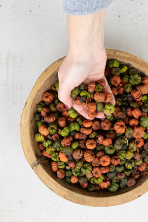 Kalalou - Bag of Orange & Green Putka Pods