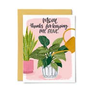 Paper Bunny Press - Assorted Greeting Cards