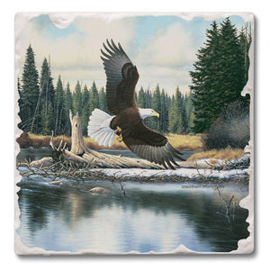 CounterArt and Highland Home - Thirstystone Coasters (Assorted Styles)