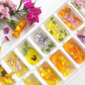 Potting Shed Creations - Pocket Garden - Edible Flowers