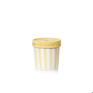 Capri Blue - Isla Bloom Artisan Caffe Capri Gelato Cup Candle 6.5oz