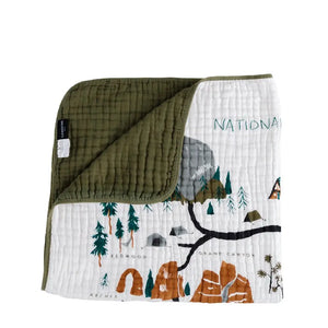 Clementine Kids - National Parks Quilt