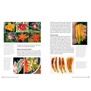 Gibbs Smith - Edible Wild Plants, Volume 2