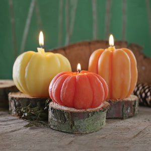 Big Dipper Wax Works - Pimpkin Bees Wax Candles (Assorted)