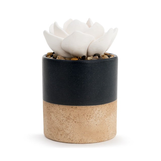 Demdaco - Succulent Oil Diffuser - Navy