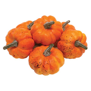Great Finds - Mini Pumpkins