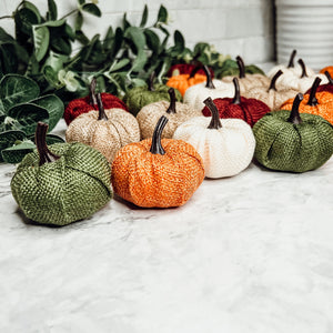 Gia Roma - Various Mini Jute Pumpkins