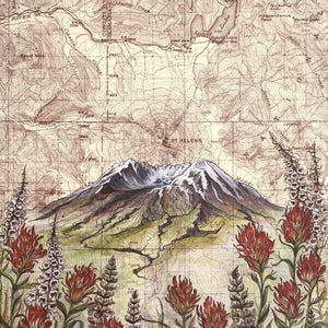Final Switchback by Katie Jeanne Reim-  Mt. St. Helens Wildflowers Fine Art Matted Print
